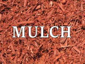 mulch in Australia